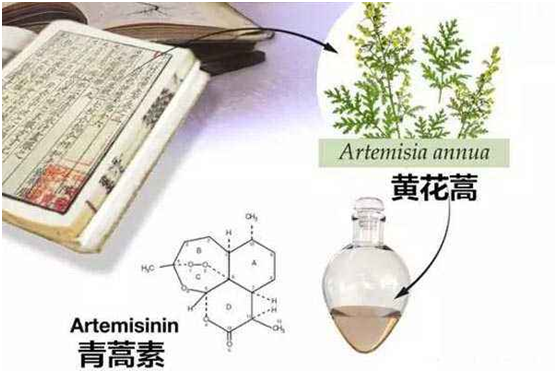 星空网页版登录入口：向中医药看齐，与世界共享中医药文化(图1)